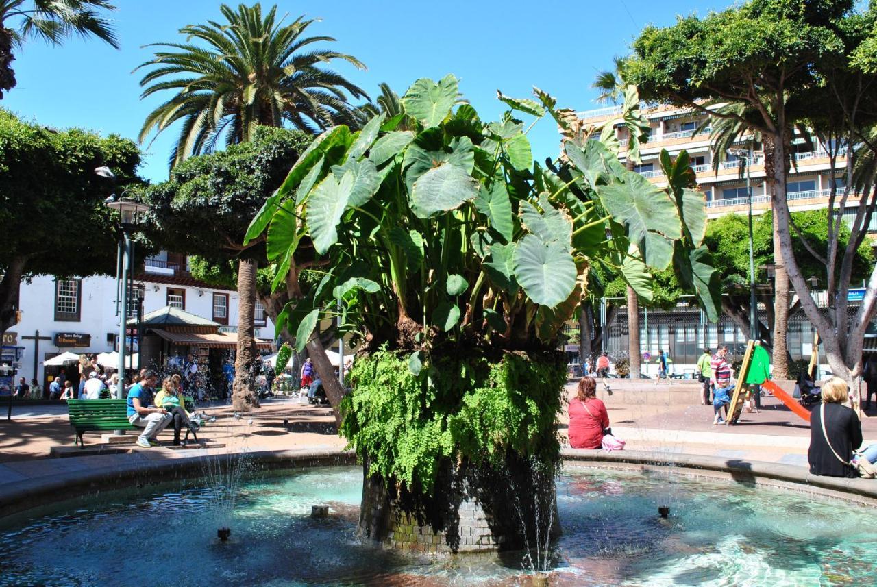 Durazno Tropical Apartment Puerto De La Cruz 外观 照片
